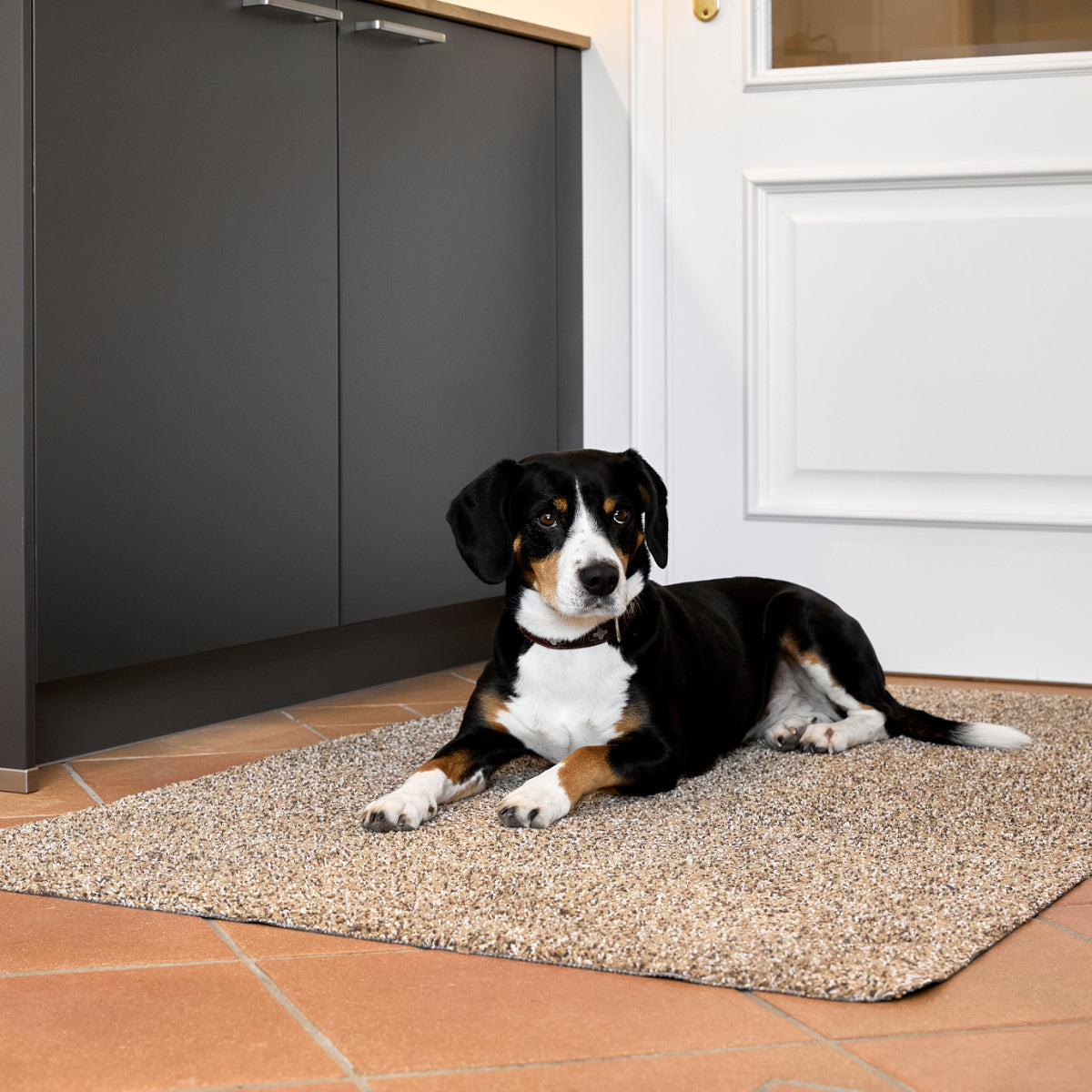 Entra Saugstark Baumwollmatte 003 Beige – saugstarke Schmutzfangmatte aus Baumwolle