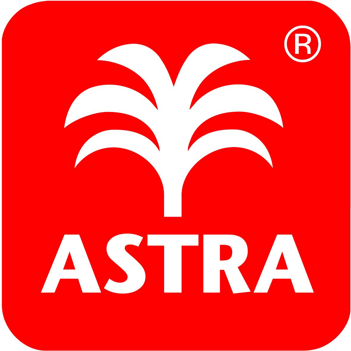 Astra Schmutzfangmatte Proper Tex Uni in 60 x 90 cm in rot