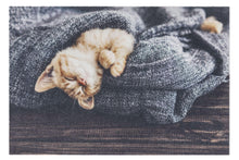 Load image into Gallery viewer, Deco Print Türmatte Decormatte  1698 103 Katze Decke  40 x 60 cm