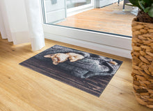 Load image into Gallery viewer, Deco Print Türmatte Decormatte  1698 103 Katze Decke  40 x 60 cm