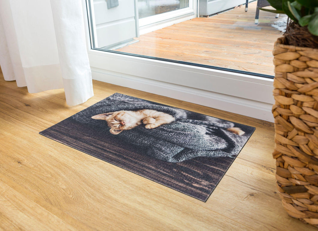 Deco Print Türmatte Decormatte  1698 103 Katze Decke  40 x 60 cm