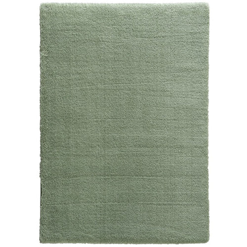 Salerno – 6673 200 032 – hellgrün – moderner Teppich mit flauschiger Haptik – 10 schönen Farben – 5 Größen