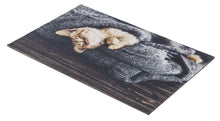 Load image into Gallery viewer, Deco Print Türmatte Decormatte  1698 103 Katze Decke  40 x 60 cm