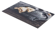 Laden Sie das Bild in den Galerie-Viewer, Deco Print Türmatte Decormatte  1698 103 Katze Decke  40 x 60 cm