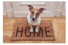 Laden Sie das Bild in den Galerie-Viewer, Deco Print Türmatte Decormatte  1698 101 Hund Home 40 x 60 cm
