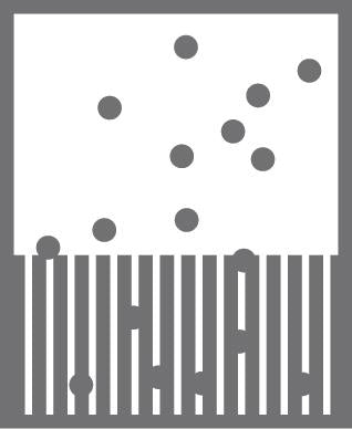 Diamant Fußmatte Astra 619-60 braun